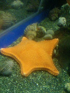 080816_1746~0001.jpg