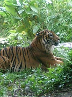 080921_1210~0002.jpg