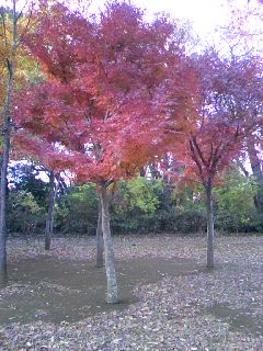 081201_1504~01.jpg